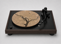 Washington DC - Geographic Collection